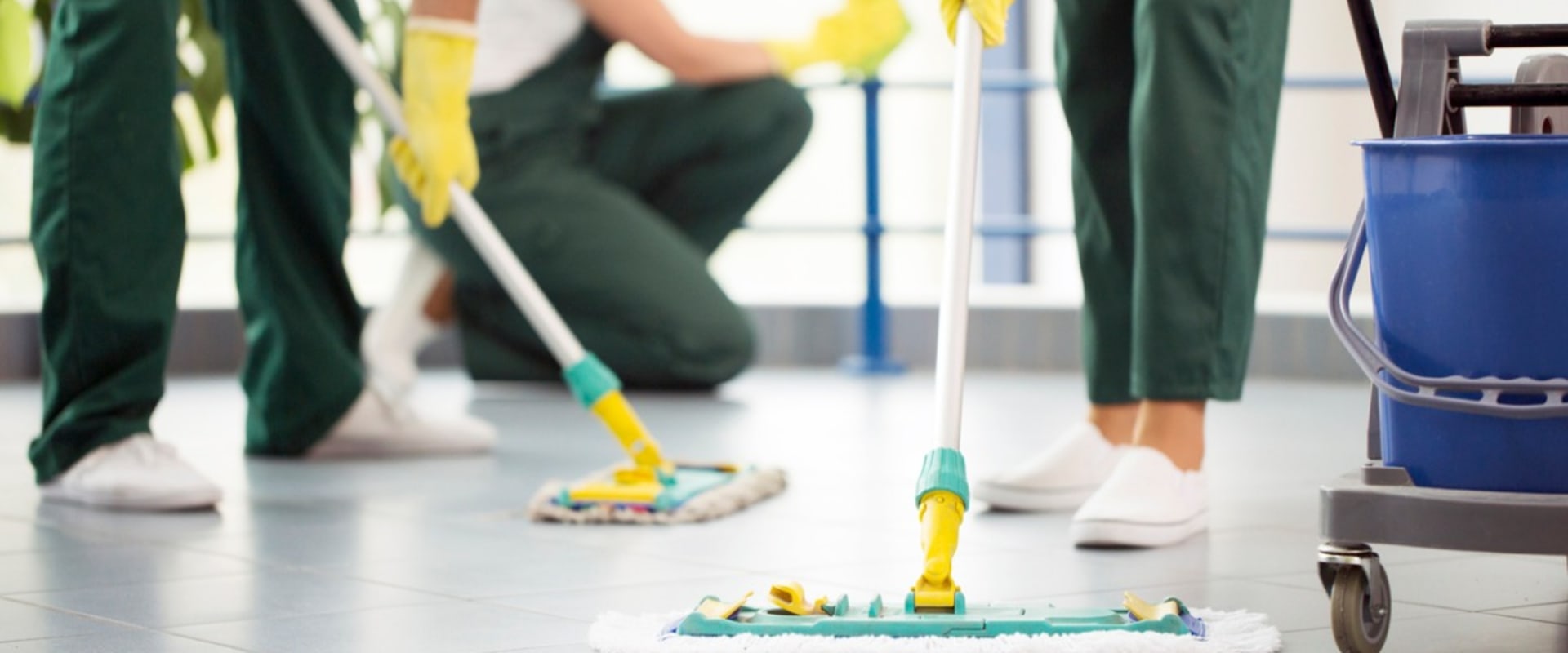 Maximizing Your Cleaning Business: Tips for Pricing and Features Comparison